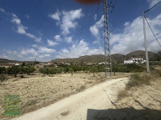 LANCariatiz: Land for Sale in Cariatiz, Almería LANCariatiz: Land for Sale in Cariatiz, Almería