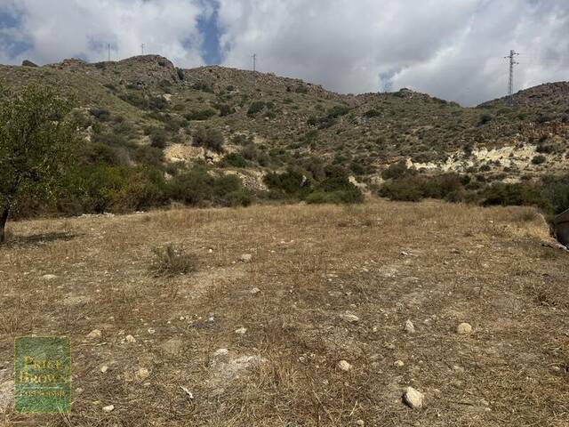 LANCariatiz: Land for Sale in Cariatiz, Almería LANCariatiz: Land for Sale in Cariatiz, Almería
