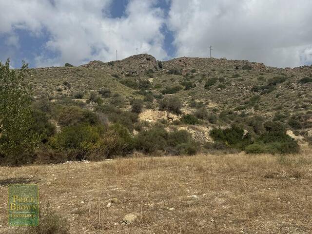 LANCariatiz: Land for Sale in Cariatiz, Almería LANCariatiz: Land for Sale in Cariatiz, Almería