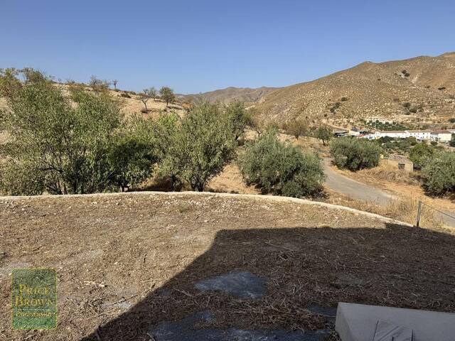 SDV1617: Cortijo for Sale in Arboleas, Almería SDV1617: Cortijo for Sale in Arboleas, Almería