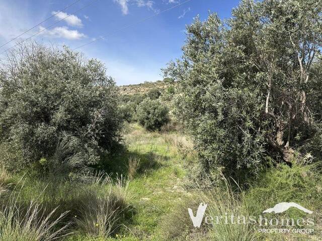 VHCT 3012: Country house for Sale in Los Gallardos, Almería