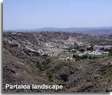 Partaloa landscape