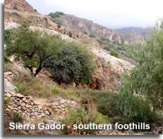 Sierra Gador southern foothills