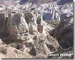 desert ravine in the Tabernas badlands