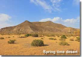 Tabernas Desert landscape in Spring time