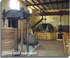 Tabernas olive mill museum room